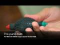 videos de Step by step guide - PUMP - enlargement and enhancement