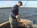 good ole boys fishing on Hubbard Lake