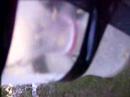Wasp Trap Gone WRONG! Part 1