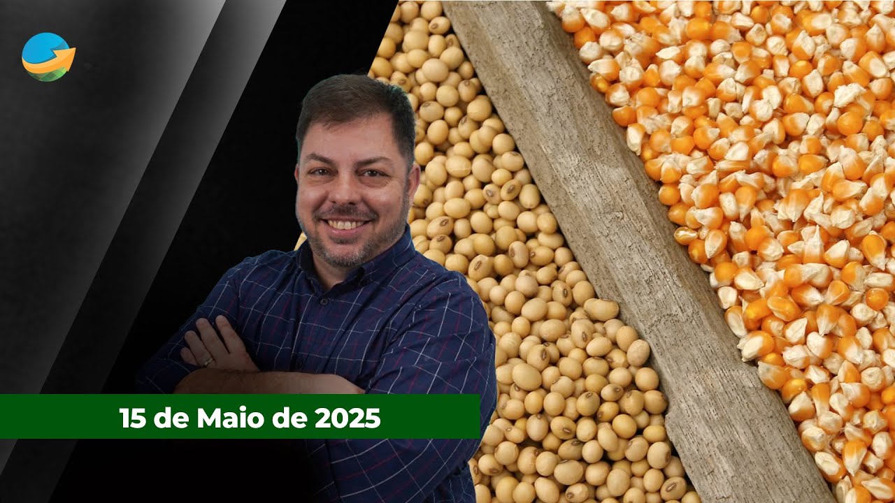 Safra cheia no Brasil pressiona milho na B3; óleo de soja recua forte e leva junto o grão; aument...