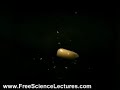 Popcorn Bursting in Slow Motion