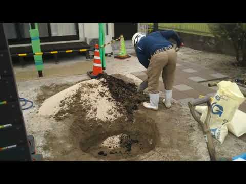 出雲市　外構　エクステリア　庭　植樹　