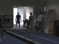 Emily Tumbling Sampler
