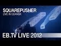 Squarepusher live in Gdańsk (2012)