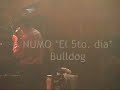 numo el 5to  dia