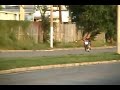 gringo motorcycle arecibo