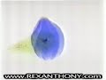 REXANTHONY 