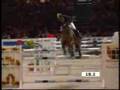 salto ostacoli - equitazione