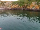 Pellet Island 8-08