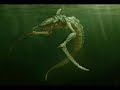 Sea Monster-Urban Legend(Part 1) Sea Monster-Urban Legend(Part 1)