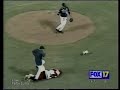 Loose pig on baseball field Loose pig on baseball field