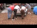 videos de LaSalle Roadster