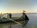 a vela do Moliceiro 1