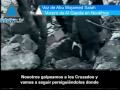 Terror en Noráfrica