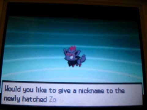 how to get a zorua in pokemon black 2