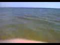 Fracaso Pesca del Dorado Fracaso Pesca del Dorado