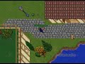Tibia pk