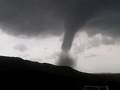 twister in aruba