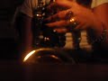 Saxy