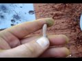 M39 vs. 1/2 Steel Plate at 125 yards