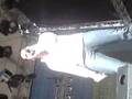 videos de michael wendler rewe nina