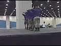PSI PSI CHAPTER
