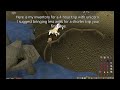 Poke's solo mage Rex guide without suicider