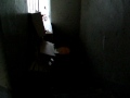 Fire risk