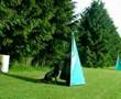 Dog Sport Thomas 5