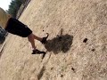 Dad plays golf, oyster style