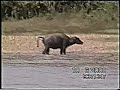 malesia 2000