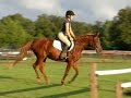 Cliche: October 10th -- \"Lopey Canter\" Cliche: October 10th -- \"Lopey Canter\"
