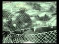Военная хроника 1941-1945
