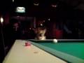 videos de Verrückter Hund will beim Billard mitspielen!!!