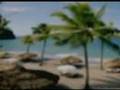 videos de Coastal Vacations, Oportunidad de Negocios, Multinivel - Lo Necesario Para el Exito