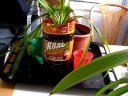 Water wicks for potted plants with a styrofoam starters Water wicks for potted plants with a styrofoam starters