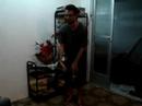 Lagartixa Prateado
