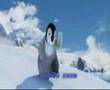 tachlhit ahwayche asayse tv zaze