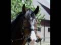 videos de Carrousel