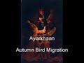 Ayarkhaan - Autumn Bird Migration