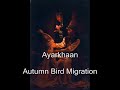 Ayarkhaan - Autumn Bird Migration