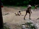 Children have fun