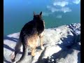 LAGO FORTORE