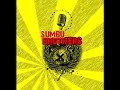 Sta arivando I Gialloblù) - Sumbu Brothers.TARTAN ARMY- HELLAS VERONA_mpeg2video.mpg
