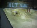 ripzinging in autumn bowl NYC