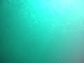 Snorkeling en apnea Bombinhas 2 Snorkeling en apnea Bombinhas 2