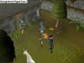 runescape: schildparty