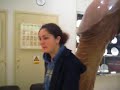 Sex Museum Surprise!!