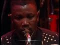 zim live at the guiness jazz festival.