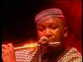 zim live at the guiness jazz festival.